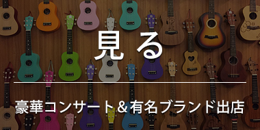 見る－豪華コンサート・有名ブランド出店－
